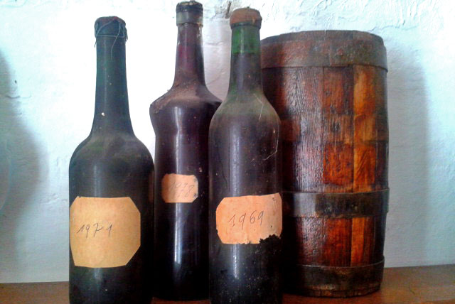 antiche bottiglie dell'azienda agricola
